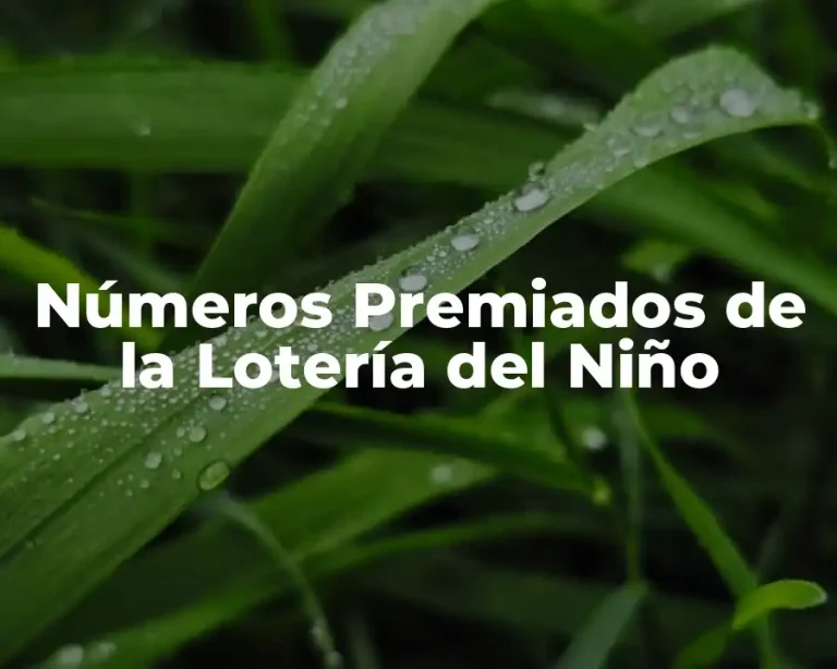 Números Premiados de la Lotería del Niño