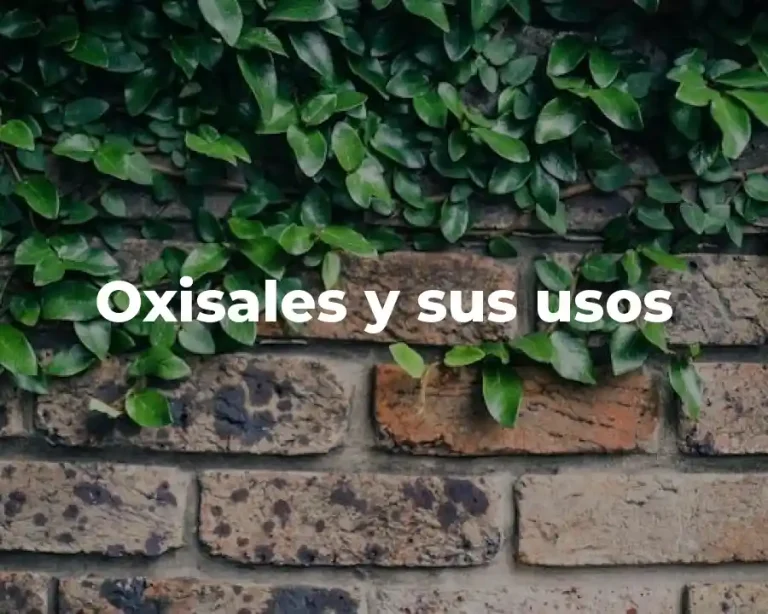 Oxisales y sus usos