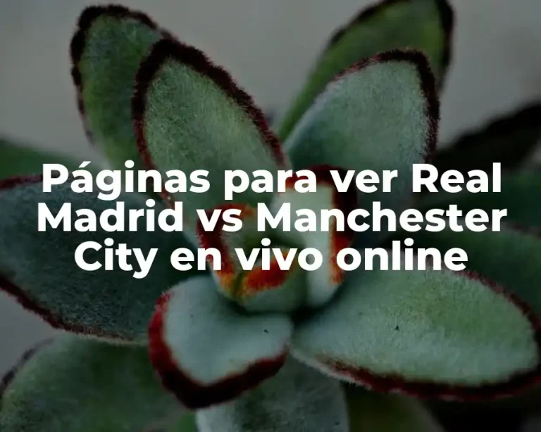 Páginas para ver Real Madrid vs Manchester City en vivo online
