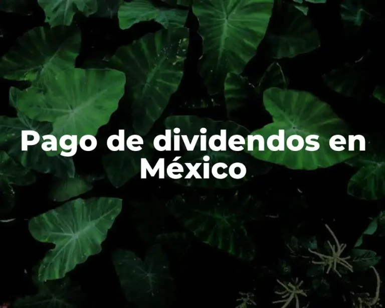 Pago de dividendos en México