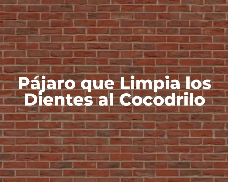 Pájaro que Limpia los Dientes al Cocodrilo