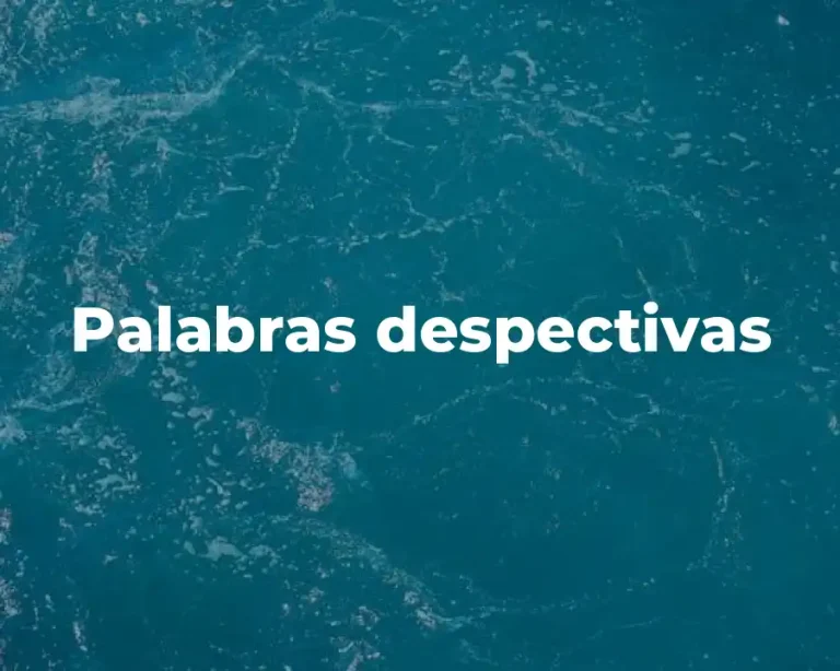 Palabras despectivas