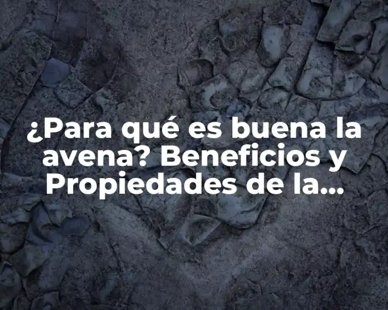¿Para qué es buena la avena? Beneficios y Propiedades de la Avena