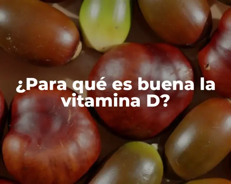¿Para qué es buena la vitamina D?