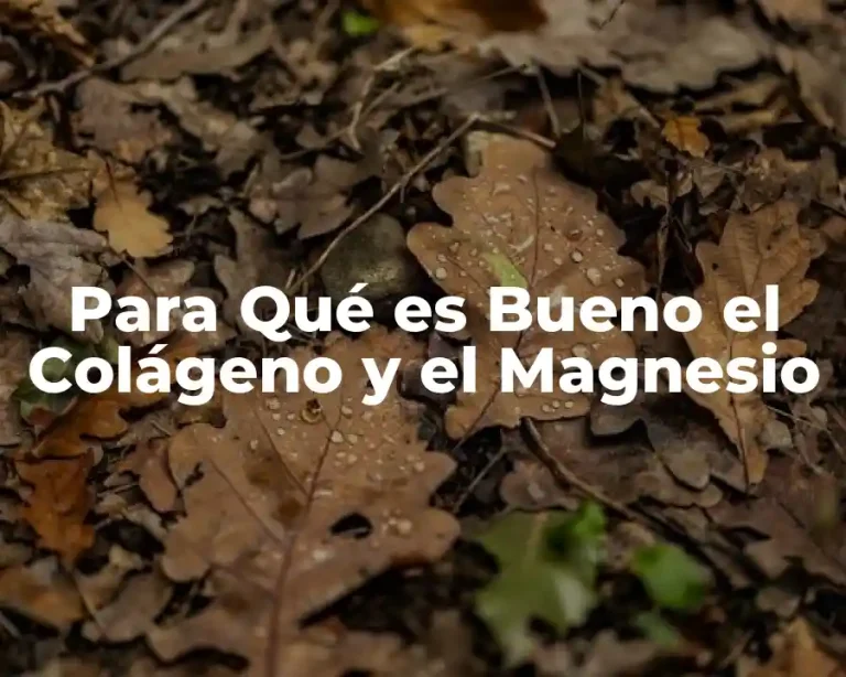 Para Qué es Bueno el Colágeno y el Magnesio