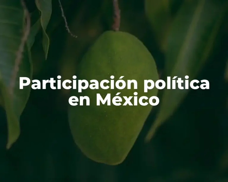 Participación política en México