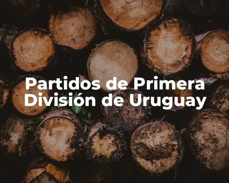 Partidos de Primera División de Uruguay