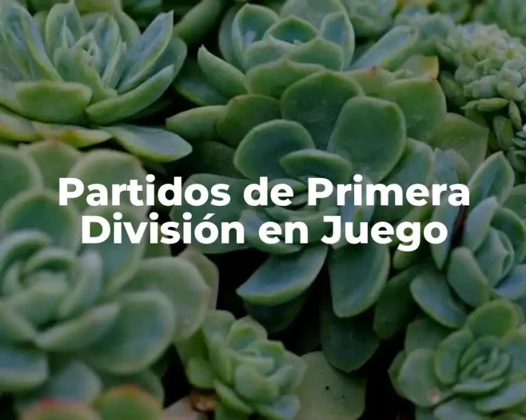 Partidos de Primera División en Juego