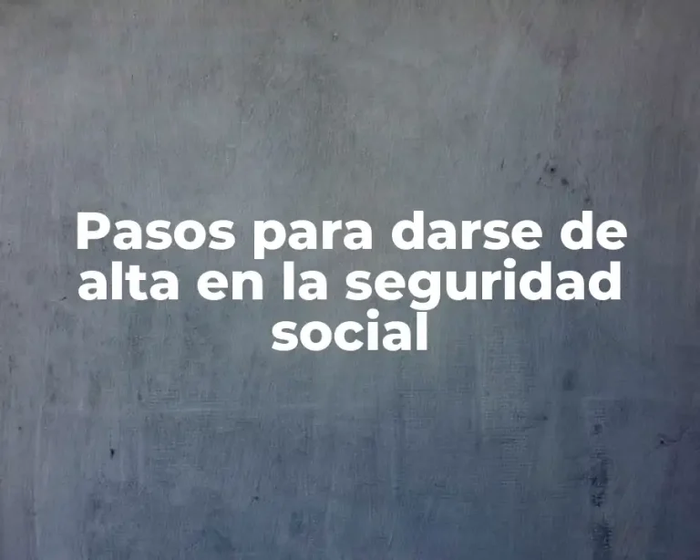 Pasos para darse de alta en la seguridad social