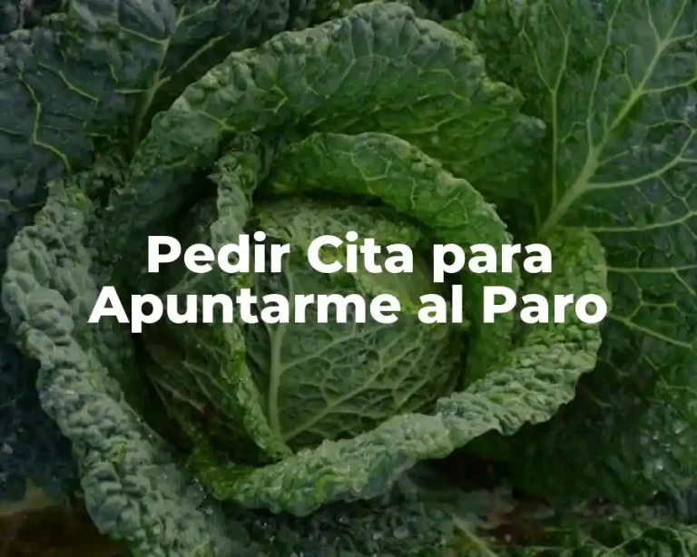Pedir Cita para Apuntarme al Paro
