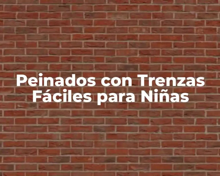 Peinados con Trenzas Fáciles para Niñas