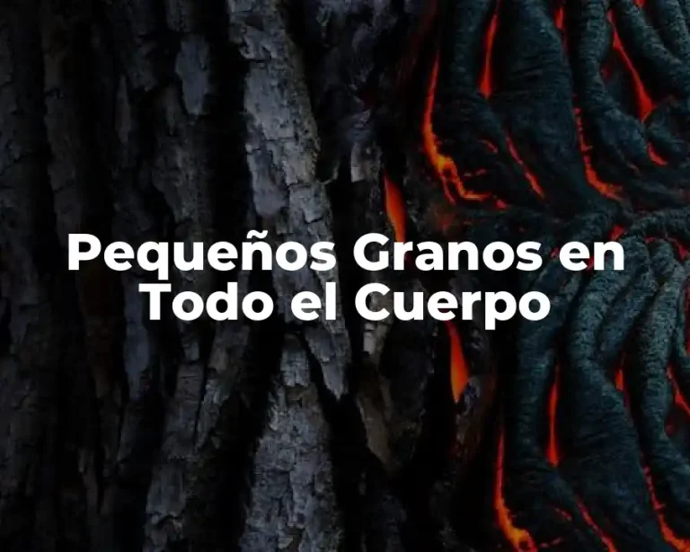 Pequeños Granos en Todo el Cuerpo