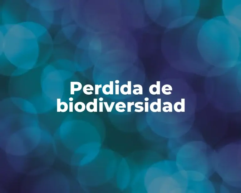 Perdida de biodiversidad