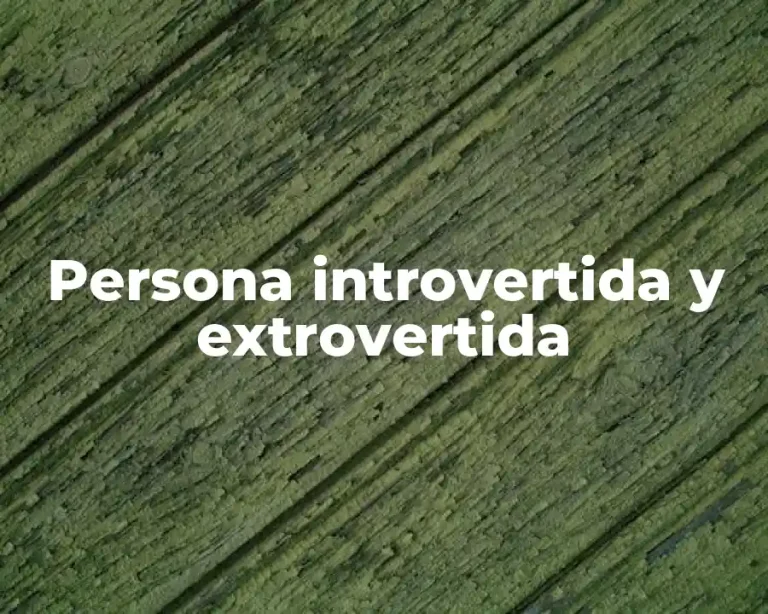 Persona introvertida y extrovertida