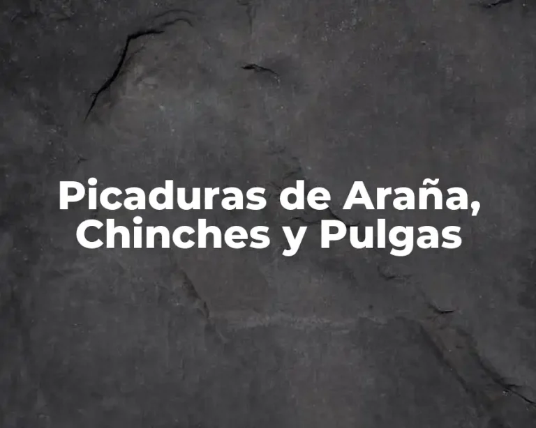 Picaduras de Araña, Chinches y Pulgas
