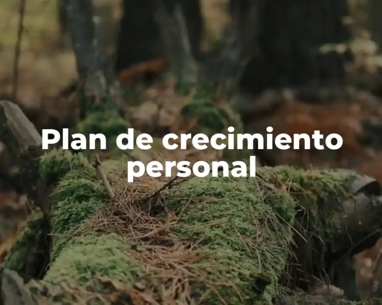 Plan de crecimiento personal