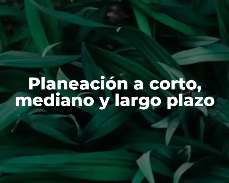 Planeación a corto, mediano y largo plazo