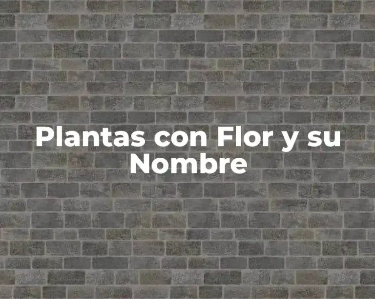 Plantas con Flor y su Nombre