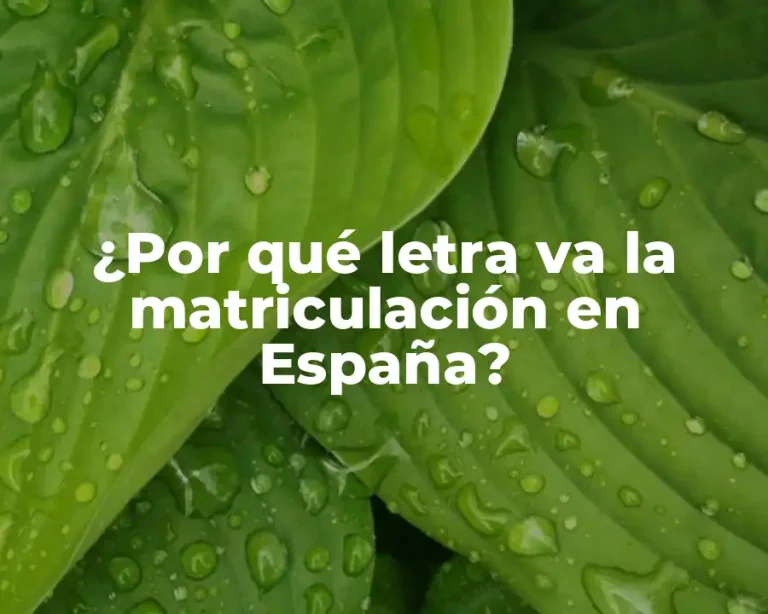 ¿Por qué letra va la matriculación en España?