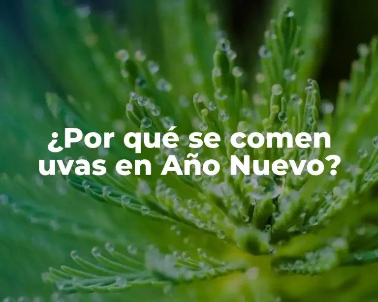 ¿Por qué se comen uvas en Año Nuevo?