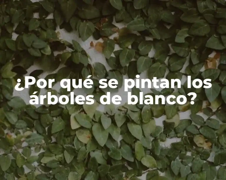 ¿Por qué se pintan los árboles de blanco?