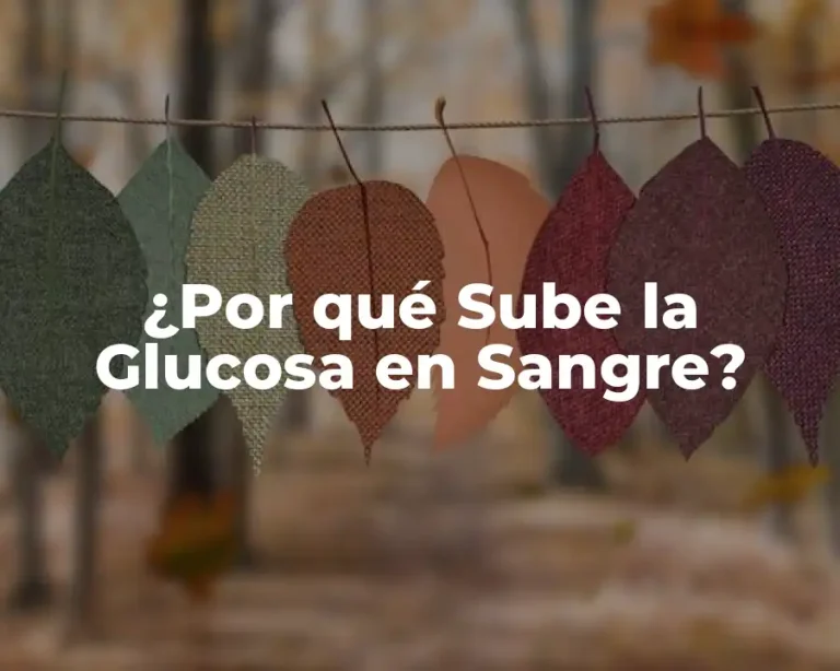 ¿Por qué Sube la Glucosa en Sangre?