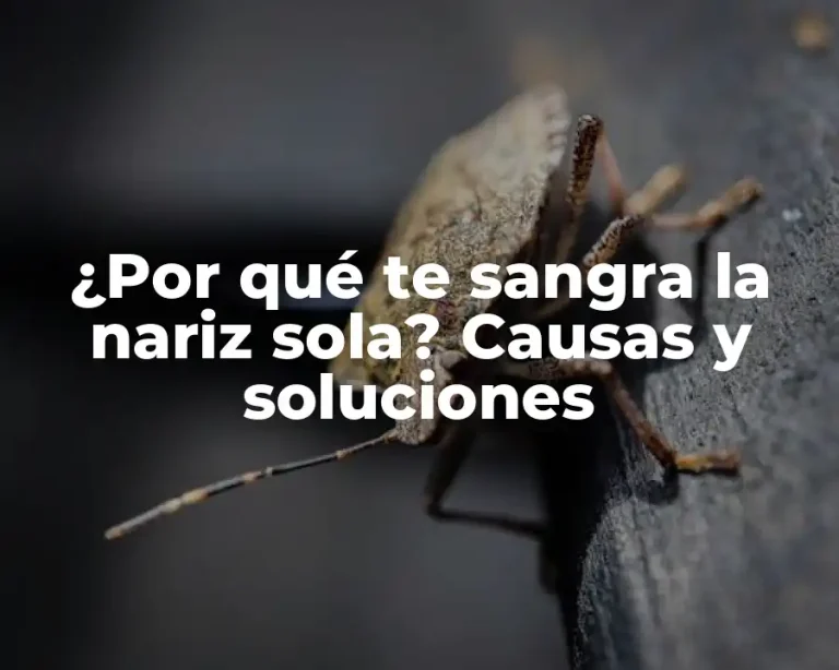 ¿Por qué te sangra la nariz sola? Causas y soluciones