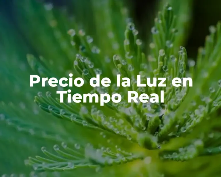 Precio de la Luz en Tiempo Real