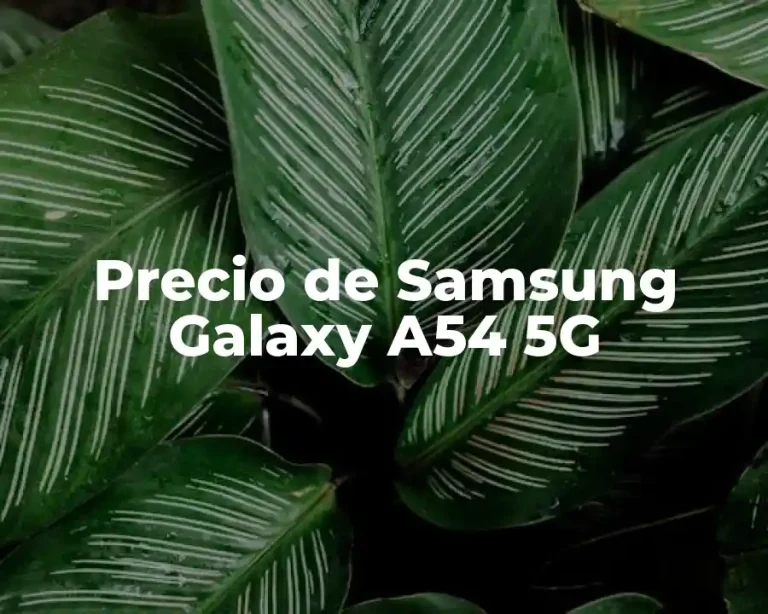 Precio de Samsung Galaxy A54 5G