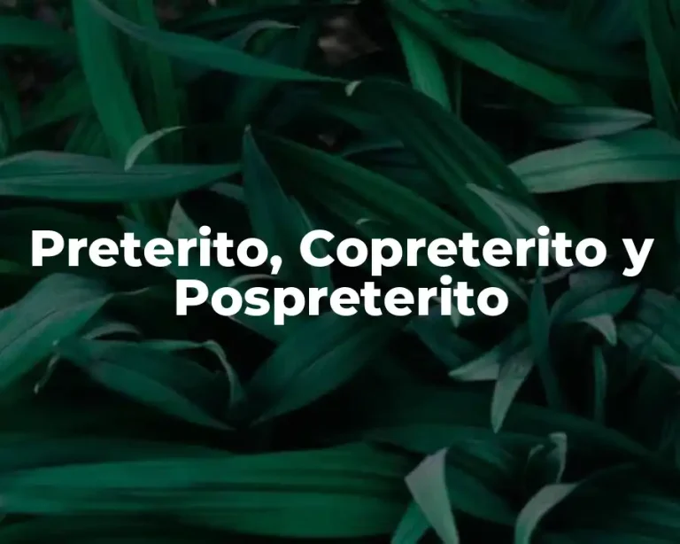 Preterito, Copreterito y Pospreterito
