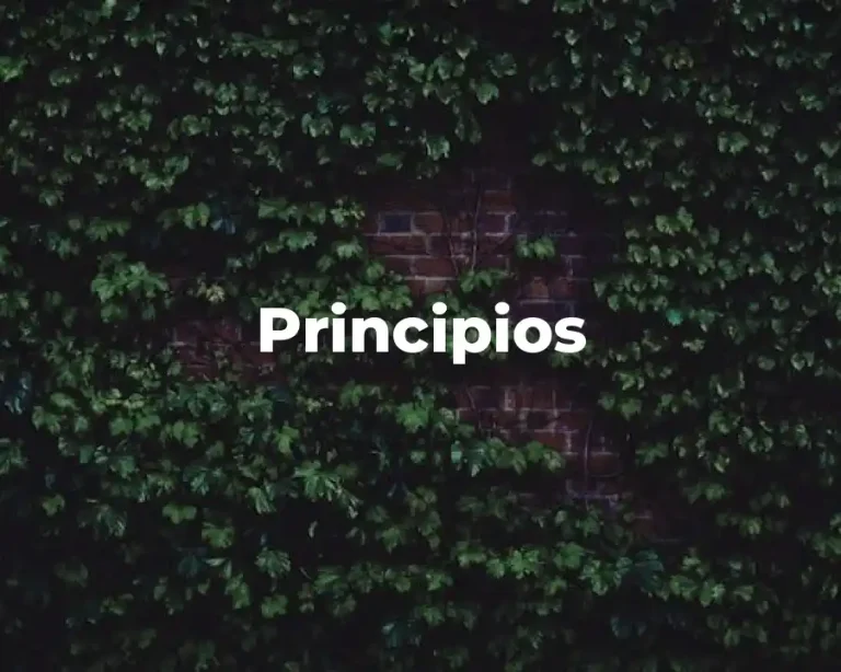 Principios