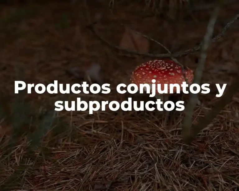 Productos conjuntos y subproductos