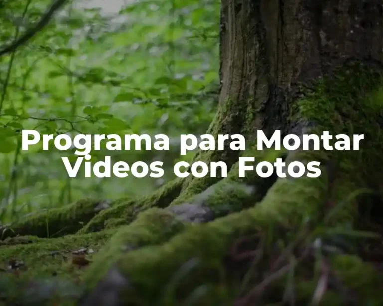 Programa para Montar Videos con Fotos