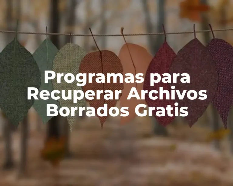 Programas para Recuperar Archivos Borrados Gratis