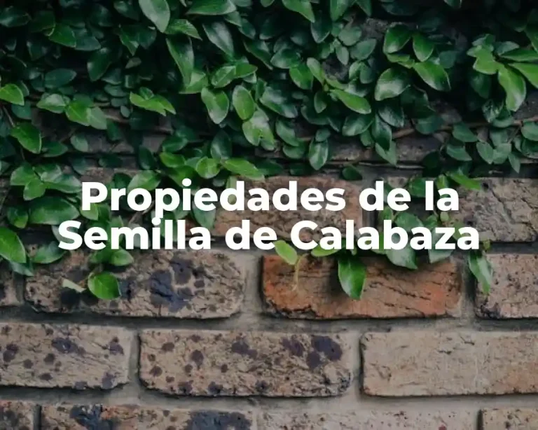 Propiedades de la Semilla de Calabaza