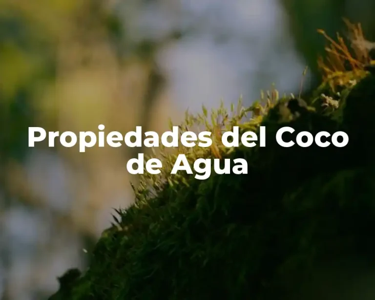 Propiedades del Coco de Agua