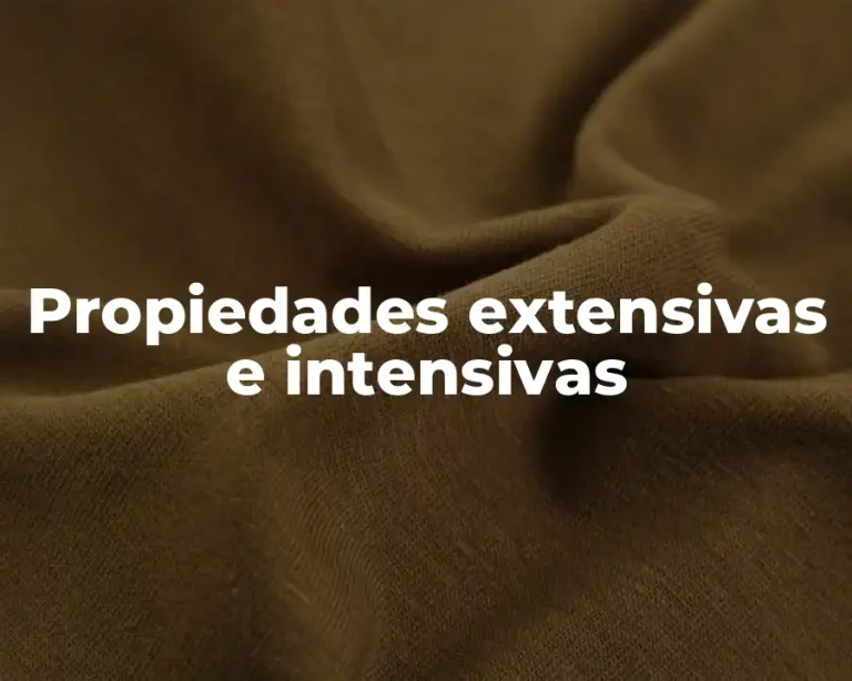 Propiedades extensivas e intensivas