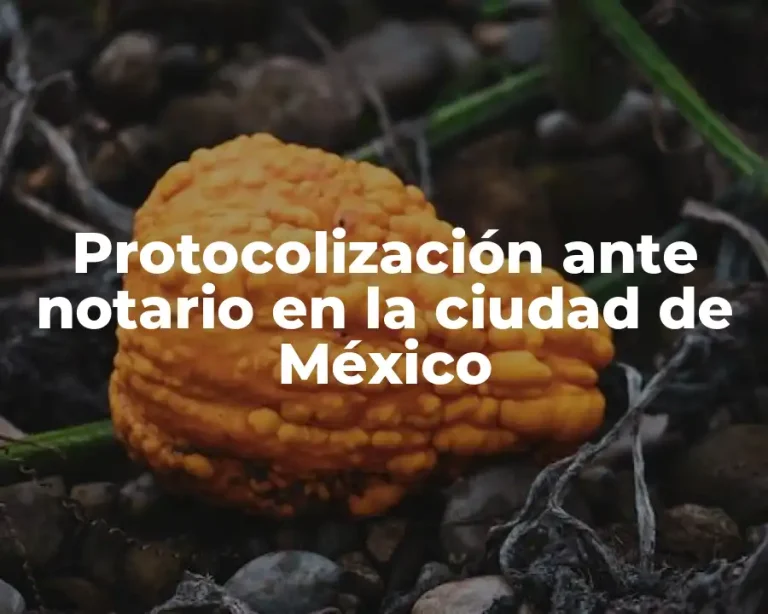 Protocolización ante notario en la ciudad de México
