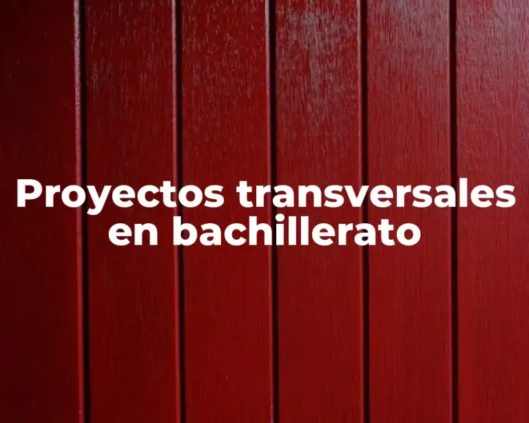 Proyectos transversales en bachillerato