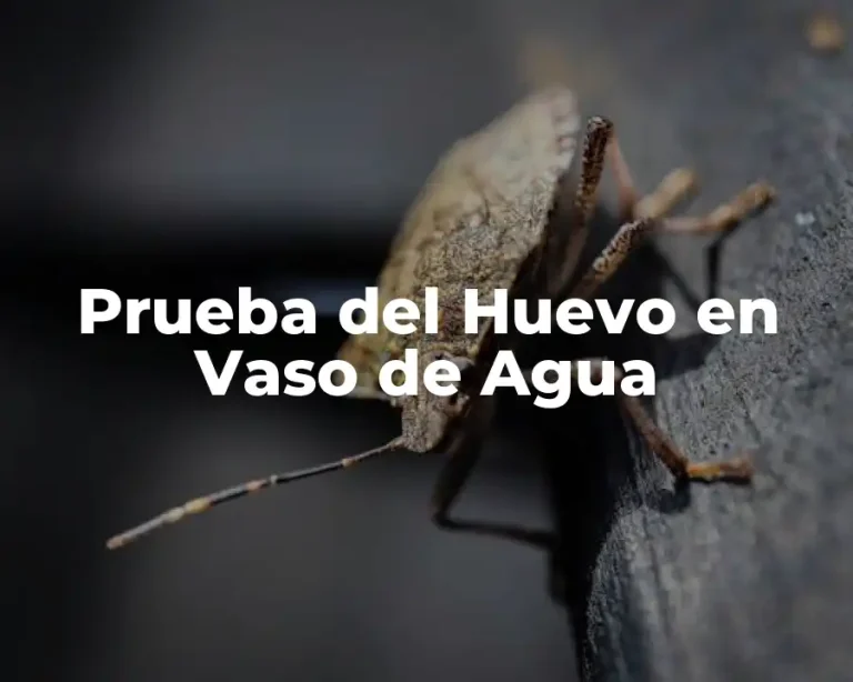 Prueba del Huevo en Vaso de Agua