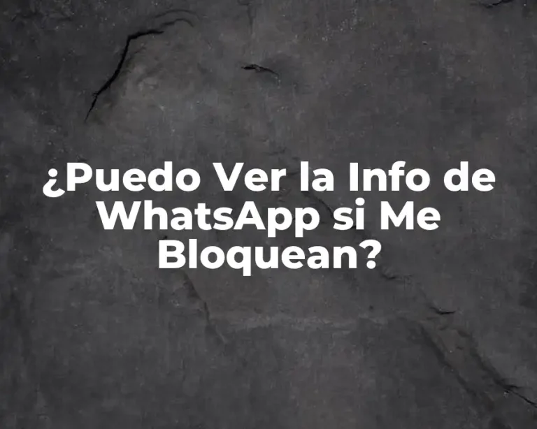 ¿Puedo Ver la Info de WhatsApp si Me Bloquean?