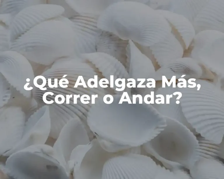 ¿Qué Adelgaza Más, Correr o Andar?