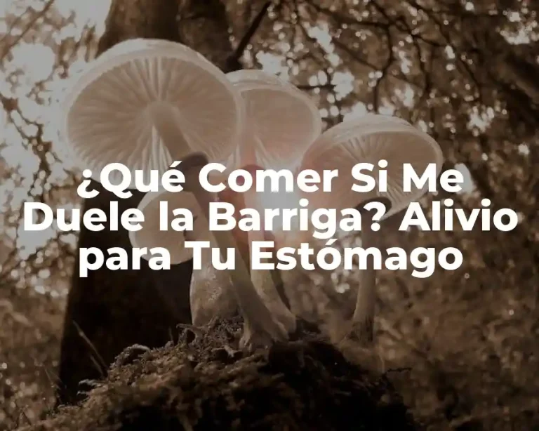 ¿Qué Comer Si Me Duele la Barriga? Alivio para Tu Estómago