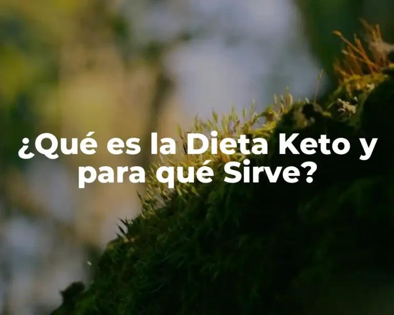 ¿Qué es la Dieta Keto y para qué Sirve?