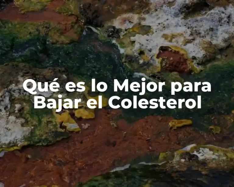 Qué es lo Mejor para Bajar el Colesterol