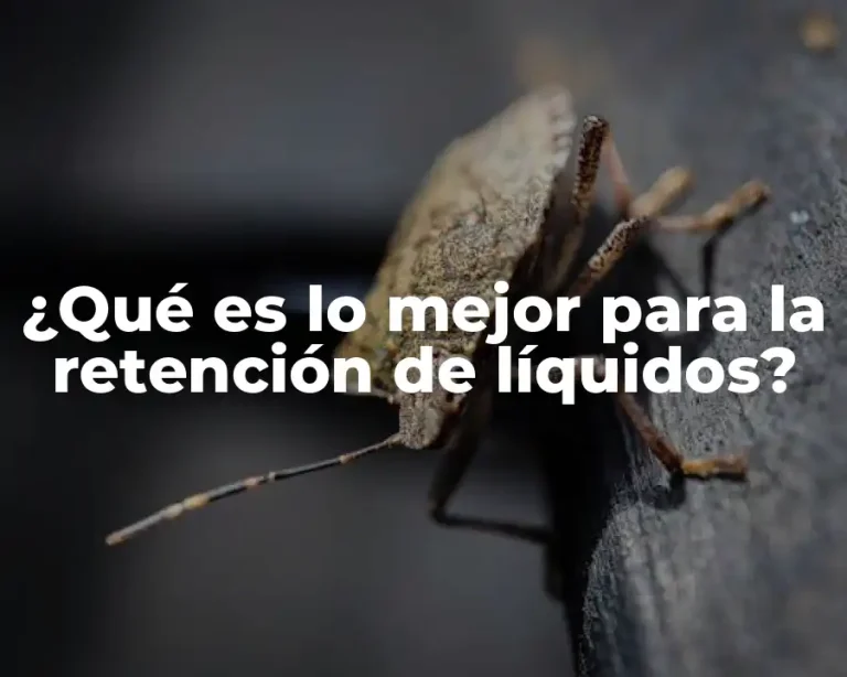 ¿Qué es lo mejor para la retención de líquidos?