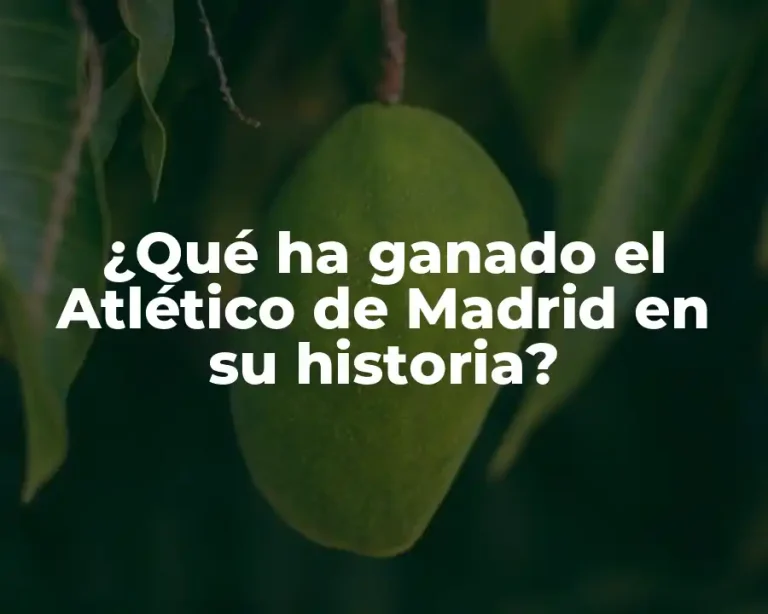 ¿Qué ha ganado el Atlético de Madrid en su historia?