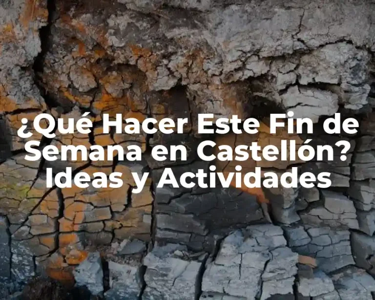 ¿Qué Hacer Este Fin de Semana en Castellón? Ideas y Actividades