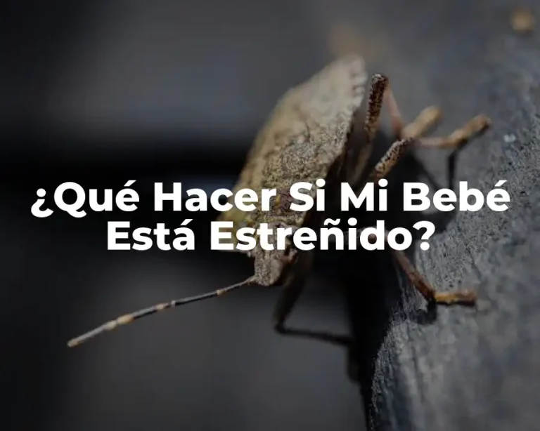 ¿Qué Hacer Si Mi Bebé Está Estreñido?