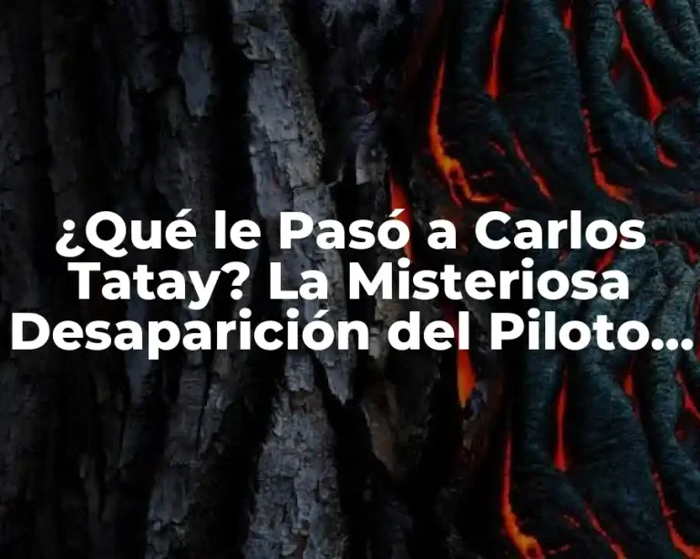 ¿Qué le Pasó a Carlos Tatay? La Misteriosa Desaparición del Piloto de Motociclismo